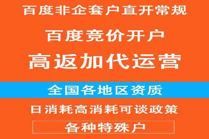 案例解析：如何通过竞价推广实现精准营销